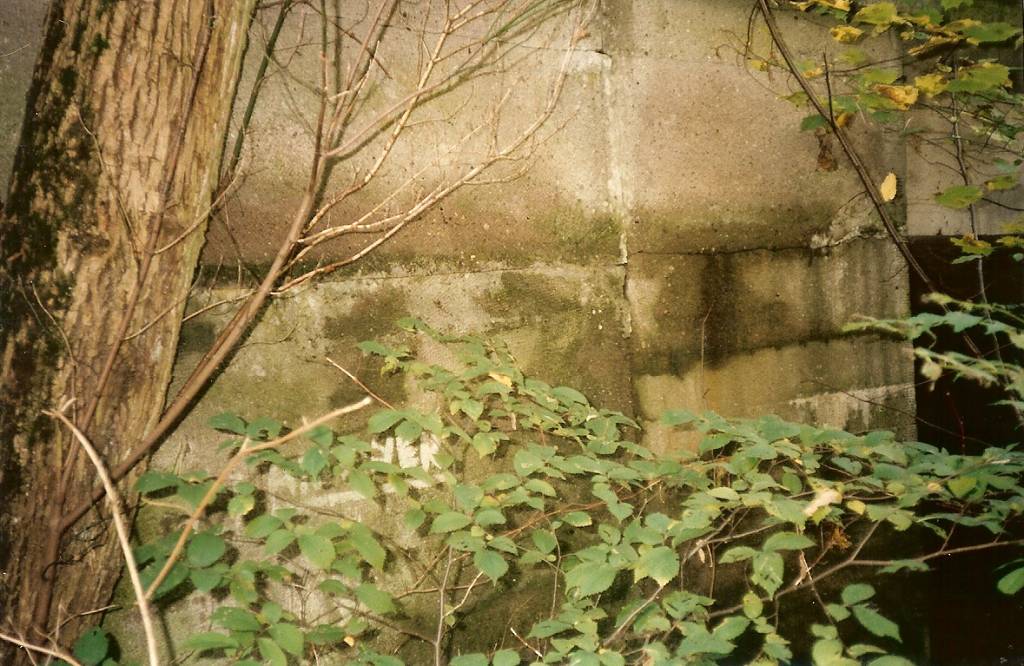 foto: archiwum  zditm 1995, Skrzydełka południowe od strony Wojska Polskiego. Szczeliny poziome i pionowe z kawerną pionową głębokości około 30 cm.