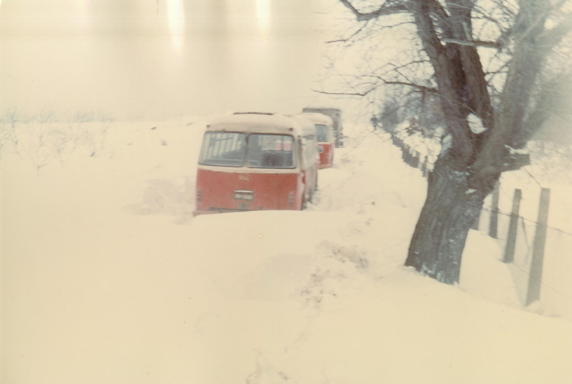 foto archiwum MZK autor nieznany, autobusy w zaspach